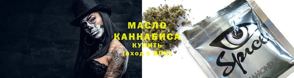 МДПВ Карпинск