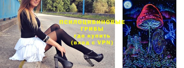 apvp Мегион