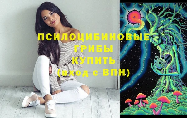 твердый Карталы