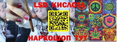 гидропоника Бийск