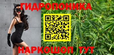 наркотики Берёзовский