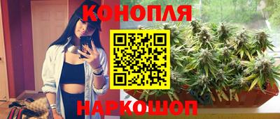 гидропоника Бийск