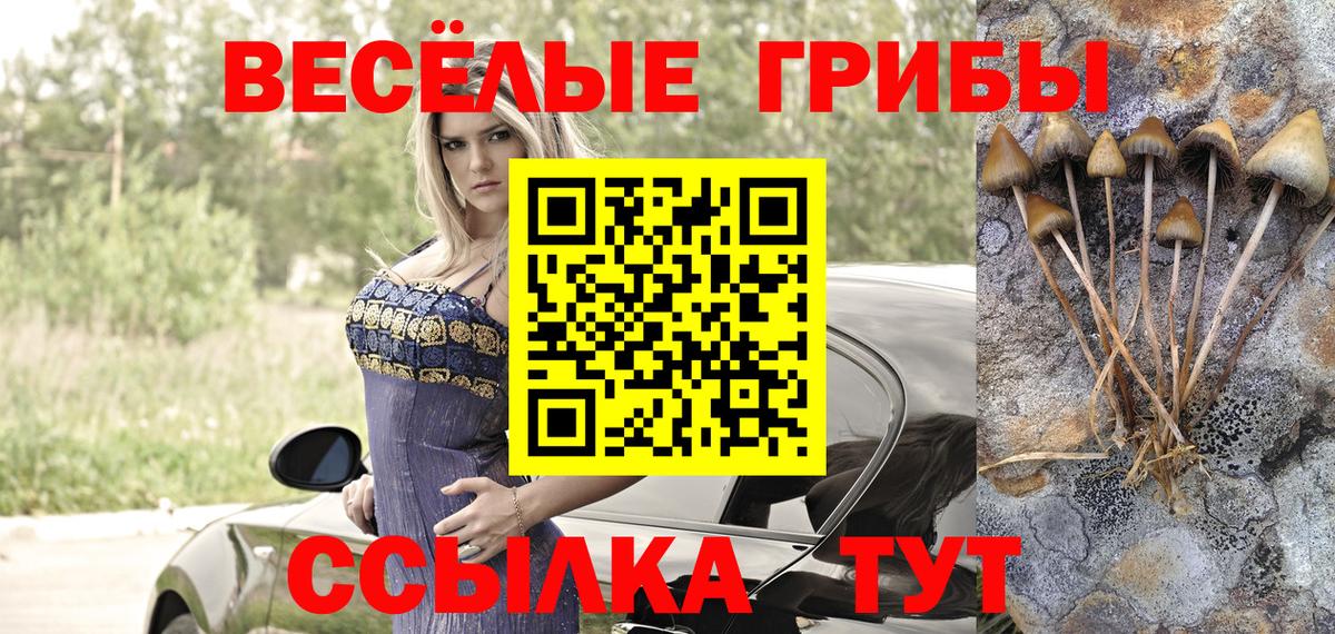 Галлюциногенные грибы Psilocybe  Псилоцибиновые грибы Magic Shrooms  Волгодонск 