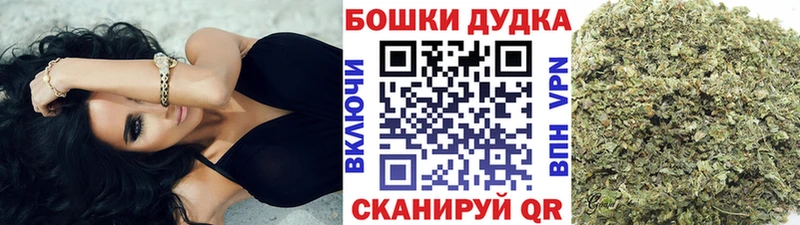 как найти наркотики  Волгодонск  Бошки Шишки планчик 
